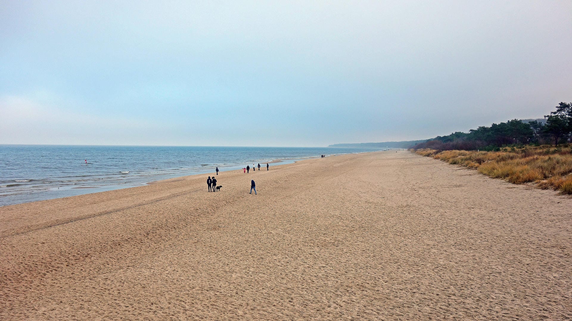 Ein Strandabschnitt in Mecklenburg-Vorpommern: Für eine Besucherin aus Lübeck wurde ein Spaziergang richtig teuer.