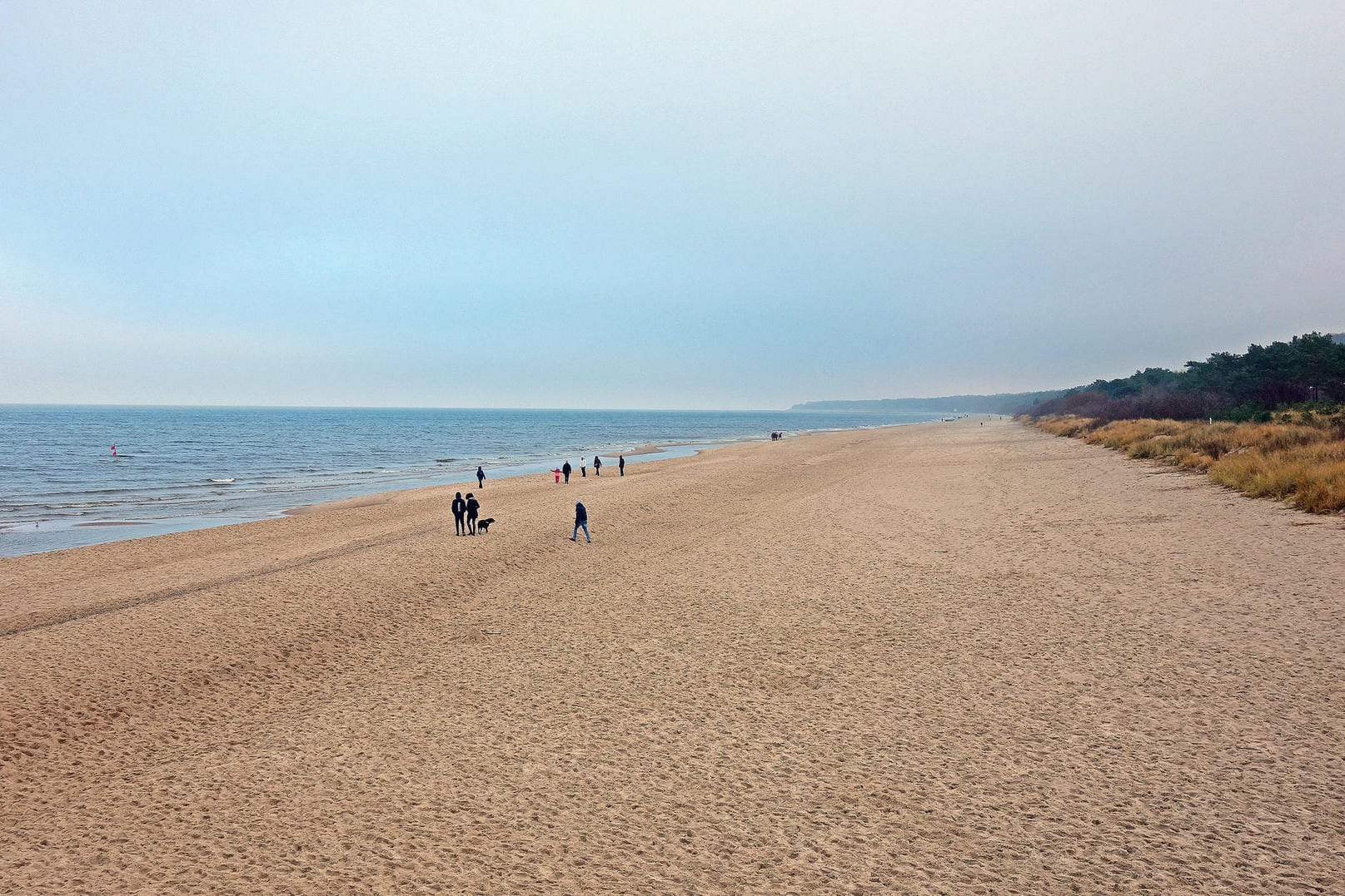 Ein Strandabschnitt in Mecklenburg-Vorpommern: Für eine Besucherin aus Lübeck wurde ein Spaziergang richtig teuer.