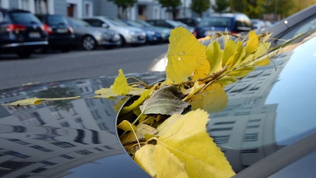 Alles dicht: Von Zeit zu Zeit entfernen Langzeitparker besser Laub von den Windläufen, ansonsten können Wasserabläufe verstopfen.