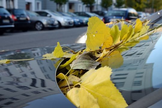 Alles dicht: Von Zeit zu Zeit entfernen Langzeitparker besser Laub von den Windläufen, ansonsten können Wasserabläufe verstopfen.