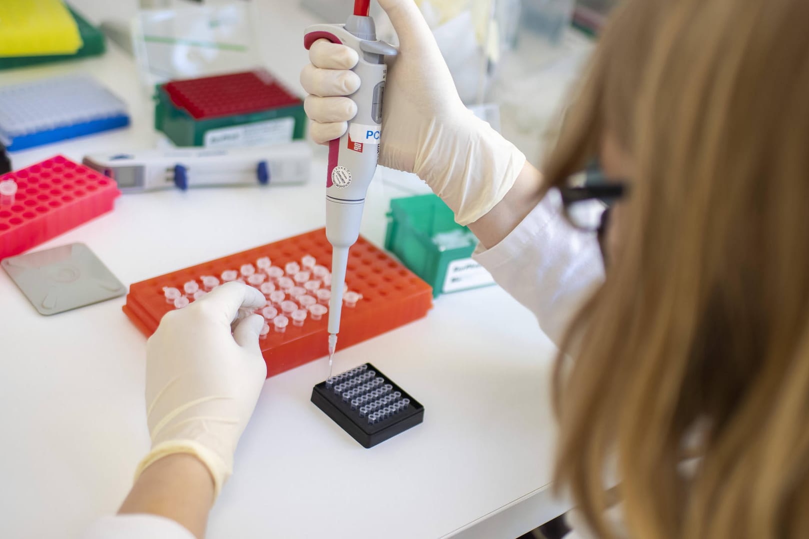 Laborantin führt einen PCR-Test durch: Das RKI meldete am Samstagmorgen mehr als 12.000 neue Fälle.