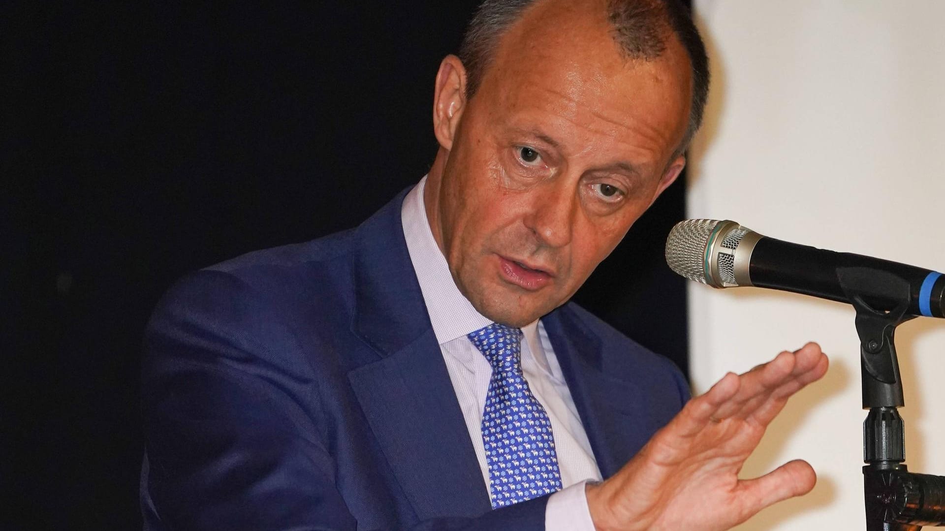 Friedrich Merz: Er ist gegen die Aufnahme von Migranten aus Bosnien oder Griechenland.