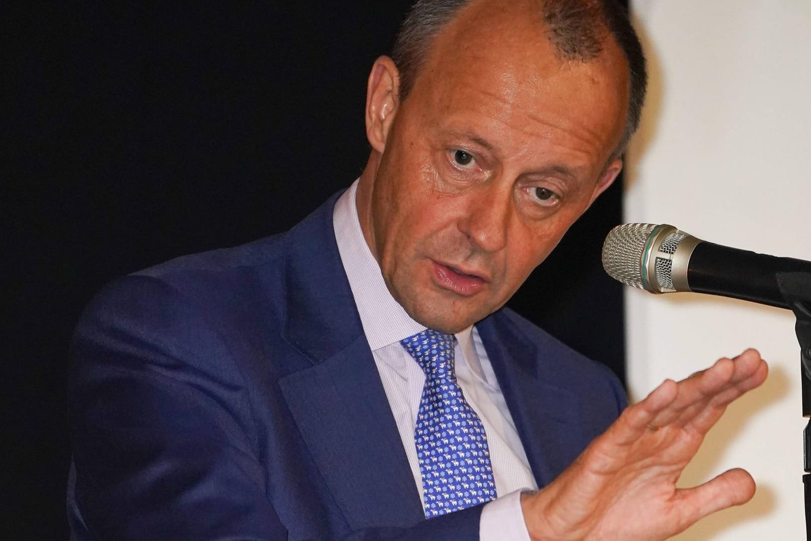 Friedrich Merz: Er ist gegen die Aufnahme von Migranten aus Bosnien oder Griechenland.