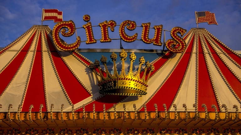 Circus Krone: Der Traditions-Zirkus hat Nachwuchs bekommen.