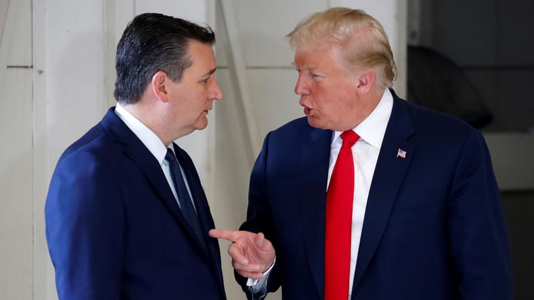 Donald Trump mit Ted Cruz: Der Senator aus Texas führt die Gruppe der Republikaner an, die Einspruch gegen Trumps Niederlage bei der US-Wahl einlegen will.