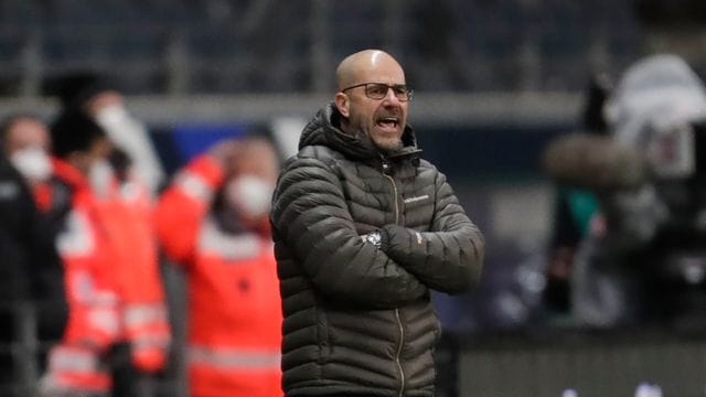 Leverkusens Trainer Peter Bosz prognostiziert eine erneute Meisterschaft des FC Bayern München. Leverkusens Trainer Peter Bosz prognostiziert eine erneute Meisterschaft des FC Bayern München.