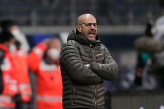Leverkusens Trainer Peter Bosz prognostiziert eine erneute Meisterschaft des FC Bayern München.