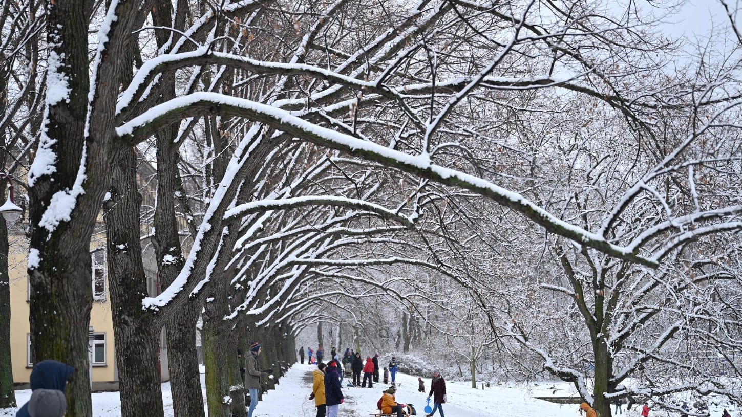 Leipziger nutzen das Winterwetter am Richard-Wagner-Hain zum Rodeln und Schneemann bauen: In fast ganz Sachsen hat es geschneit.