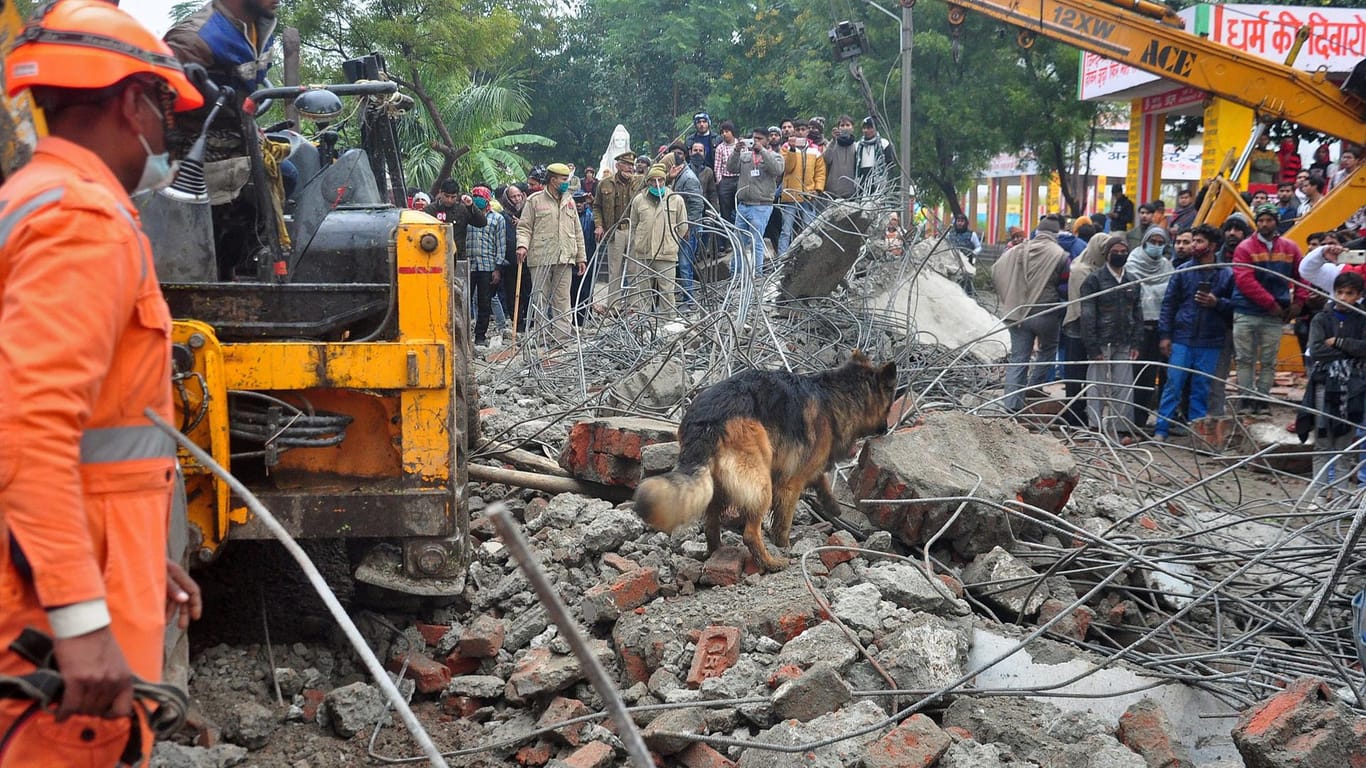 Ein Hund sucht in den Trümmern nach Menschen: Mindestens 19 Menschen starben bei dem Unglück in Indien.