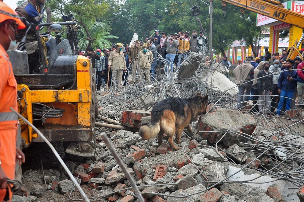 Ein Hund sucht in den Trümmern nach Menschen: Mindestens 19 Menschen starben bei dem Unglück in Indien.