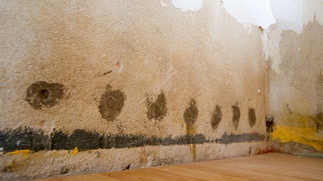 Hausbesitzer sollten ihre Immobilie regelmäßig checken, ob sich irgendwo dunkle Stellen auf der Wand oder an der Decke abzeichnen.