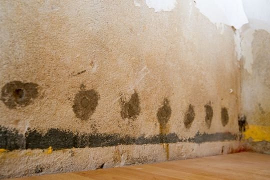 Hausbesitzer sollten ihre Immobilie regelmäßig checken, ob sich irgendwo dunkle Stellen auf der Wand oder an der Decke abzeichnen.