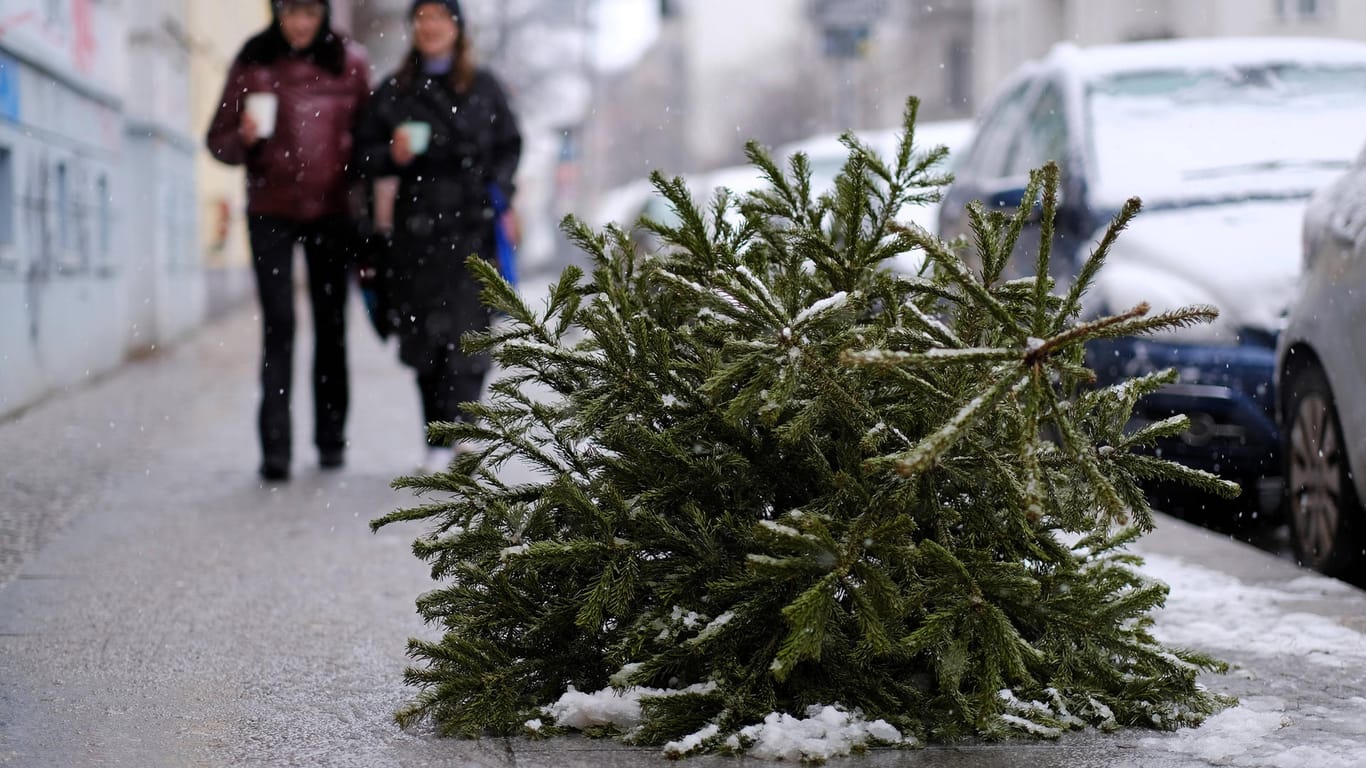 Ein ausgedienter Weihnachtsbaum liegt auf der Straße (Symbolbild): In Dortmund werden die Bäume am 6. Januar abgeholt.