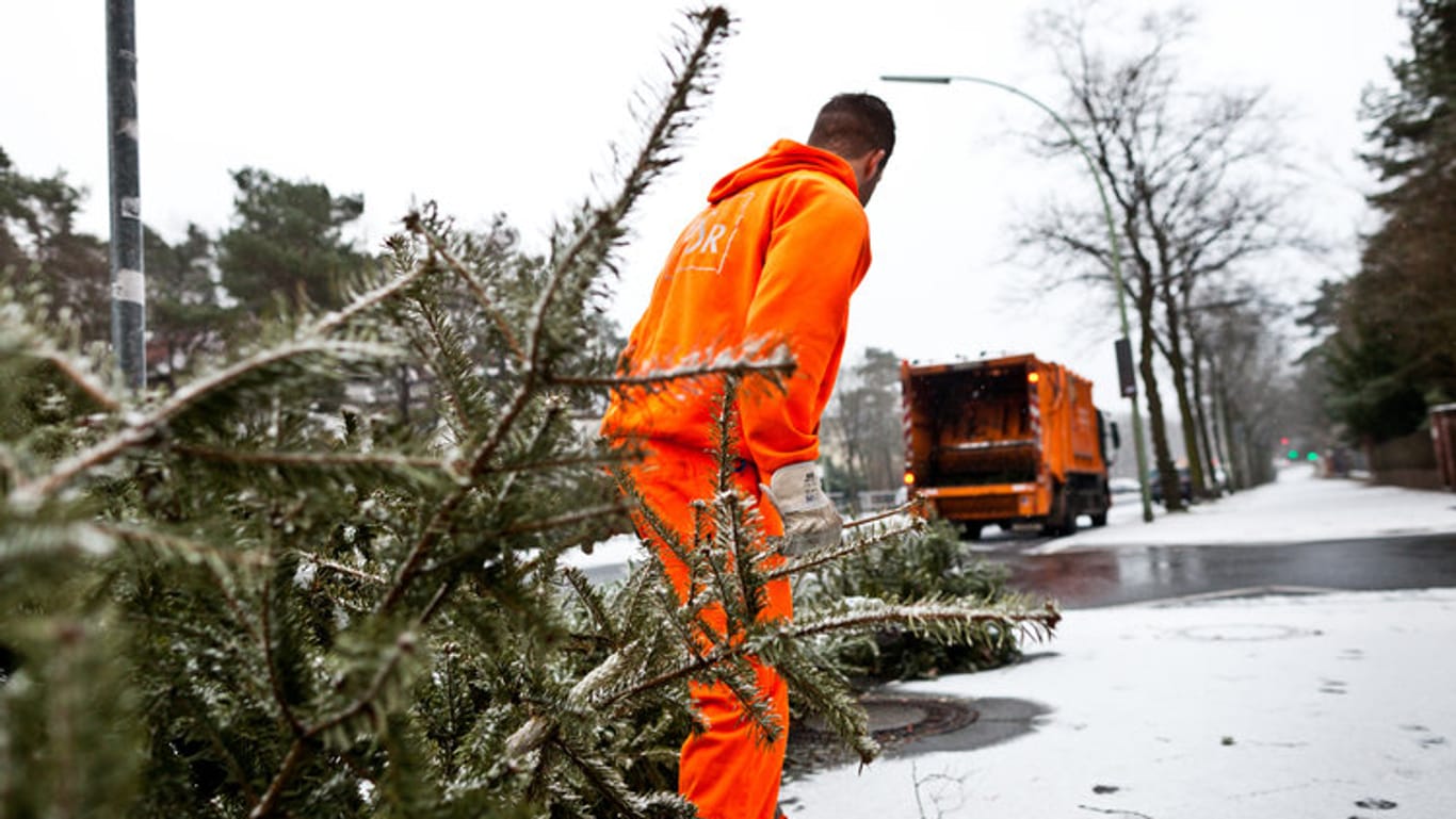 Ein BSR-Mitarbeiter holt einen Baum ab: Pro Berliner Stadtteil kommt die Stadtreinigung zweimal.