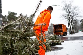 Ein BSR-Mitarbeiter holt einen Baum ab: Pro Berliner Stadtteil kommt die Stadtreinigung zweimal.