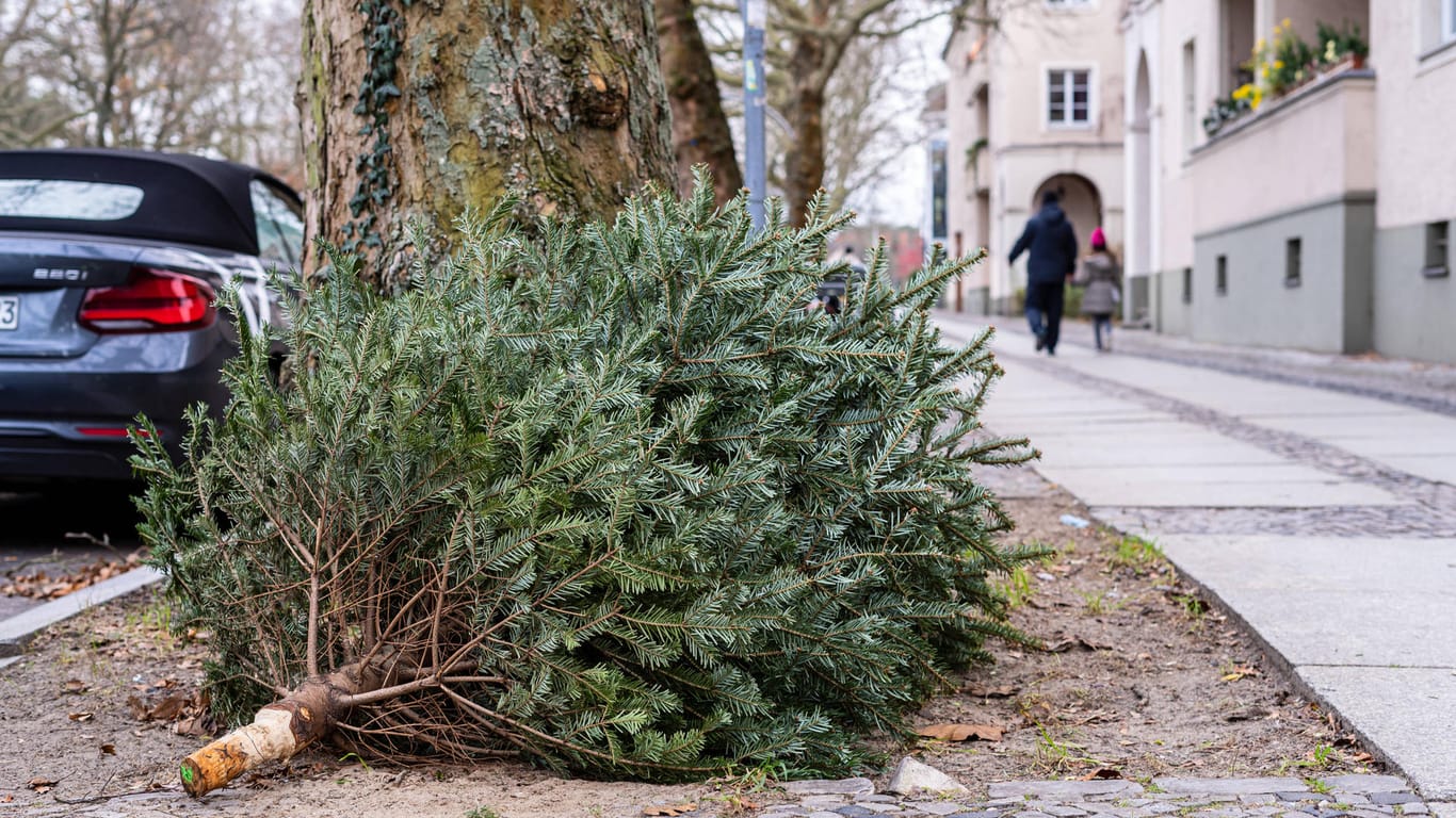 Ein Weihnachtsbaum liegt auf einem Bürgersteig (Symbolbild): In Wolfsburg werden die alten Weihnachtsbäume in den kommenden Wochen eingesammelt.