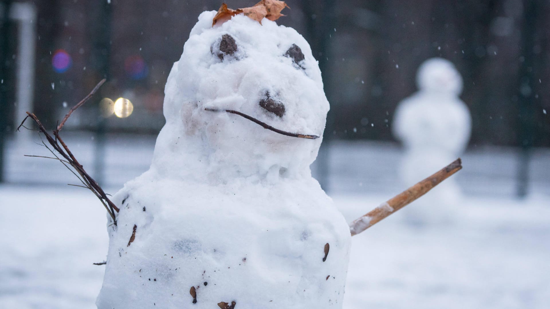 Ein Schneemann: In Arensberg ist ein Zug von einer Figur beschädigt worden. (Symbolbild)