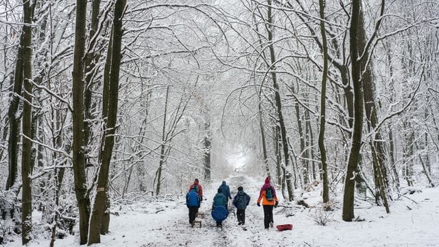 Spaziergänger im Taunus. Spaziergänger im Taunus.