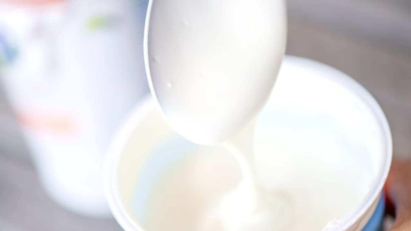 Joghurt: Viele Lebensmittel enthalten von Natur aus Probiotika.