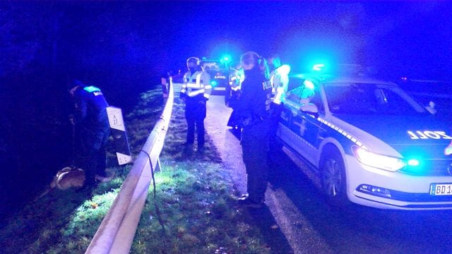 Einsatzkräfte der Polizei suchen mit Spürhunden den Bereich ab: Der Fahrer ist noch flüchtig.