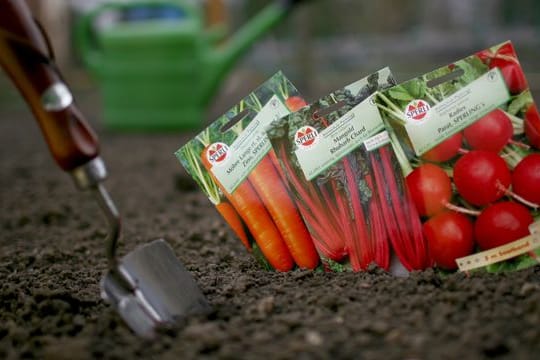 Samen-Tütchen: Darauf steht, wann die Pflanzen am besten ausgesät werden.