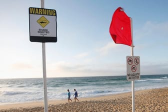 Ein Hai-Warnschild am Strand: In Neuseeland starb eine Frau nach einem mutmaßlichen Haiangriff.