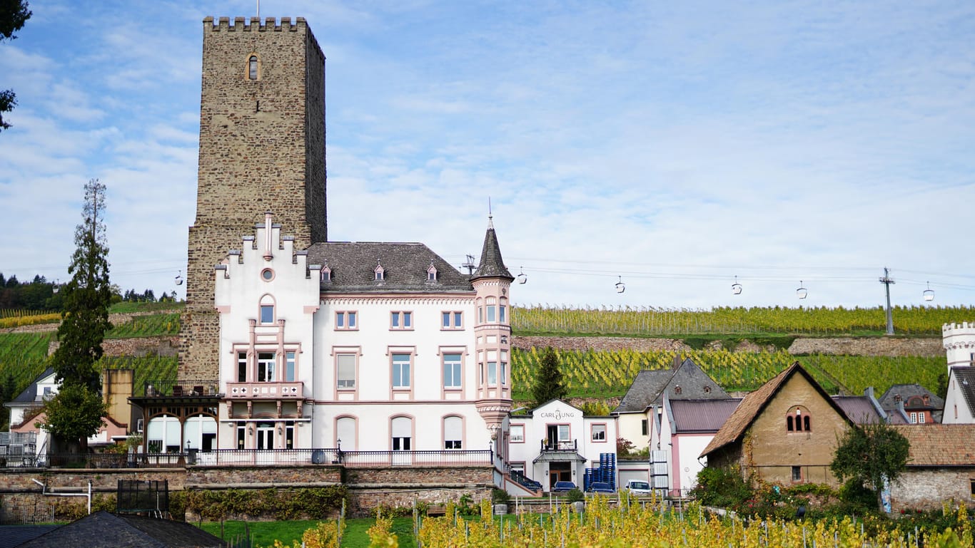 Tradition: In 5. Generation wird in der Weinkellerei auf Schloss Boosenburg alkoholfreier Wein hergestellt.