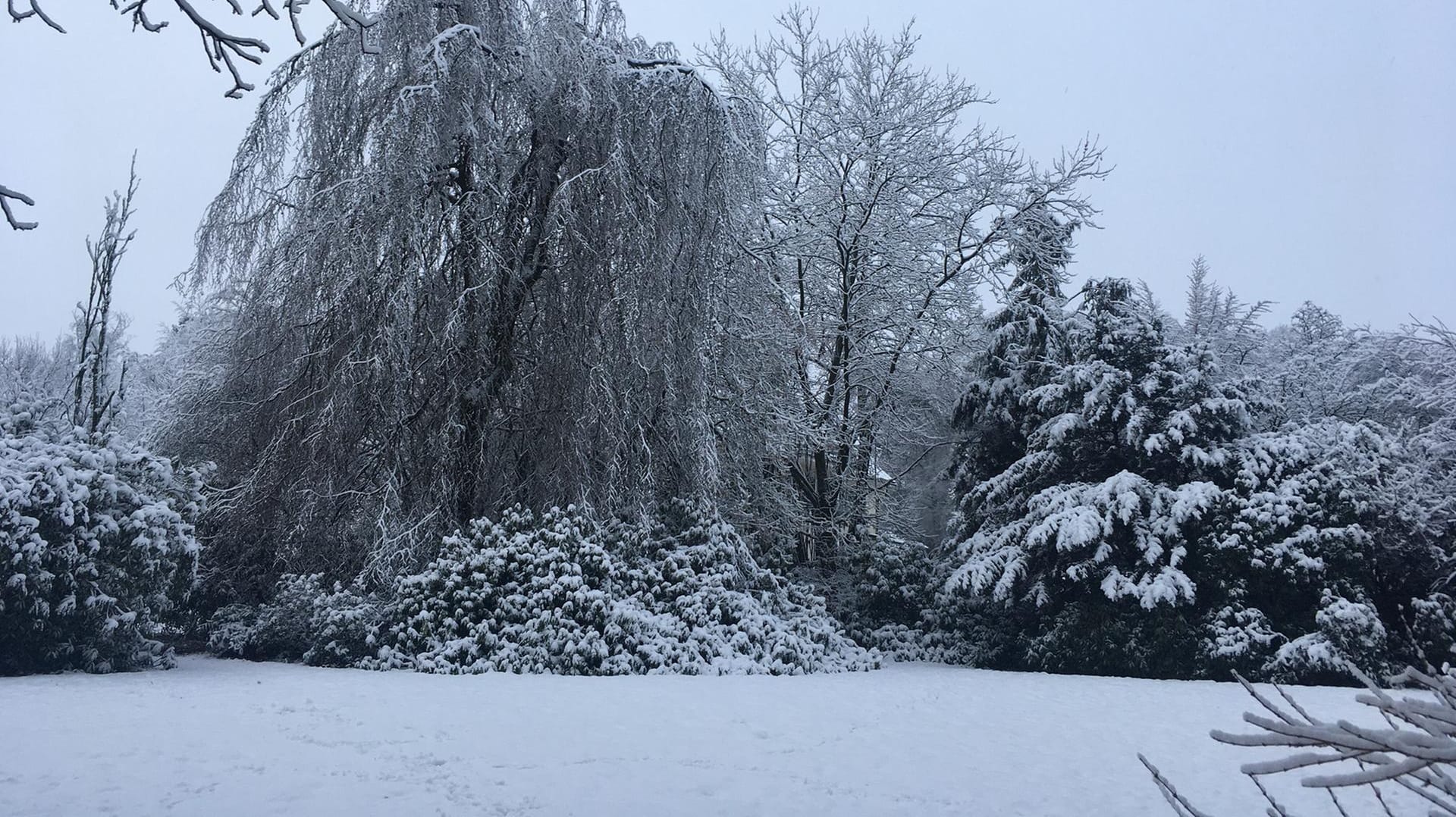 Blick in einen verschneiten Garten in Wuppertal: Der Schnee hat Teile der Stadt in eine weiße Winterlandschaft verwandelt.