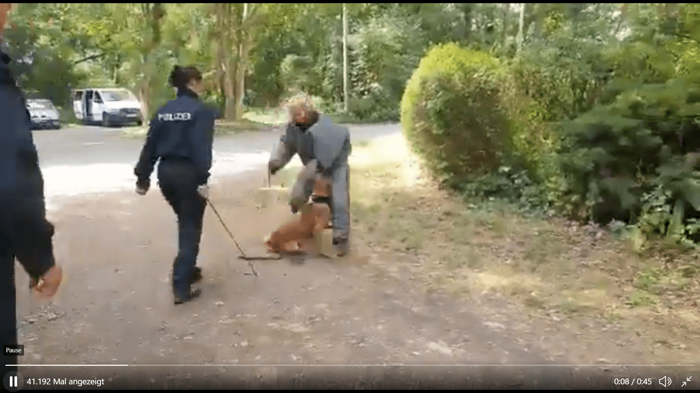 Zwei Polizistinnen schlagen mit Stöcken auf einen Hund ein: Die Polizeidirektion hat Prüfungsmaßnahmen eingeleitet.