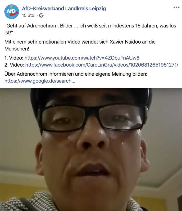 Zum Heulen: Die AfD Leipzig verbreitet Xavier Naidoo mit dem absurden Verschwörungsmythos, es würden zur Adrenochrom-Gewinnung massenhaft Kinder unterirdisch gefangen gehalten.