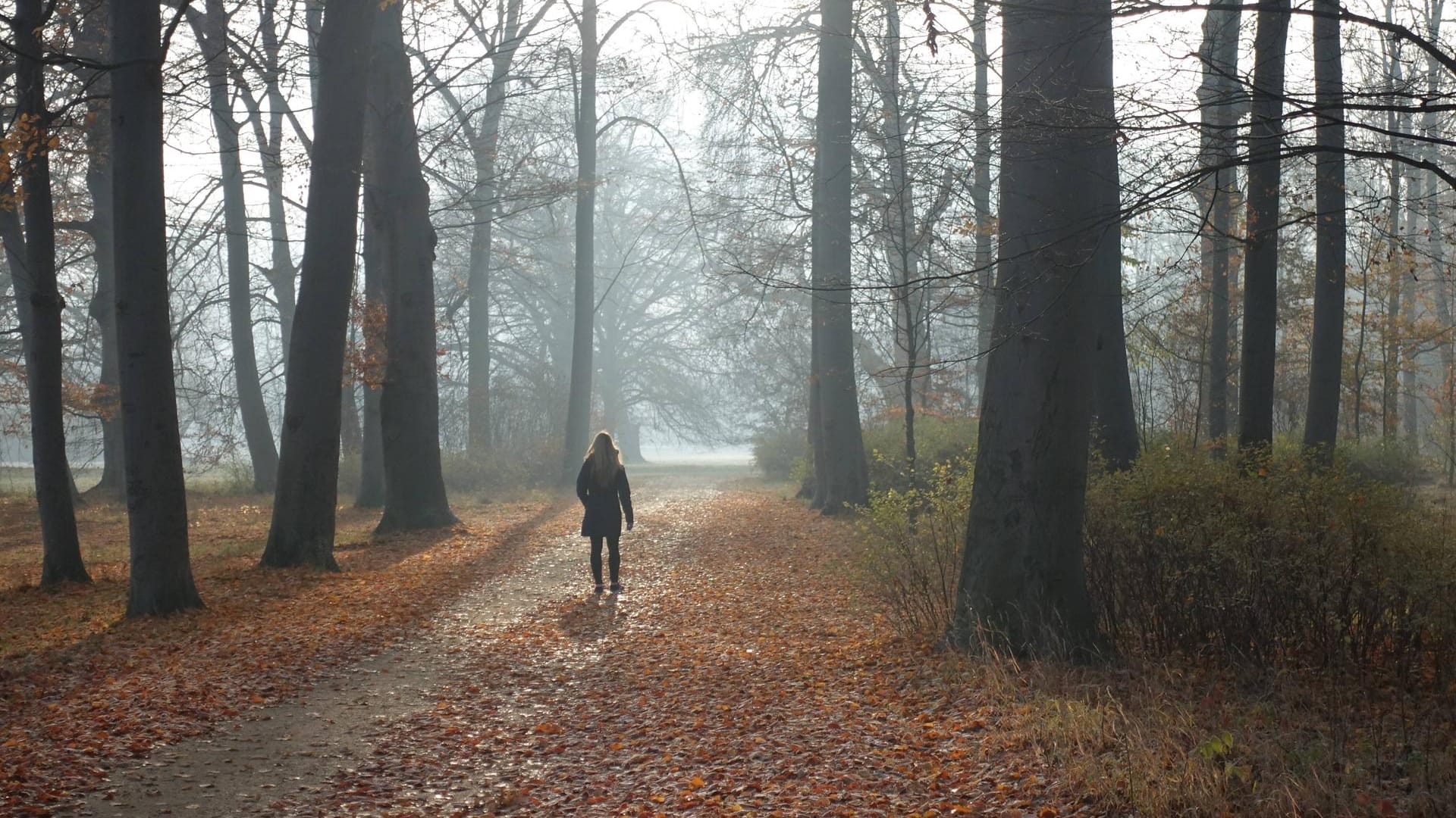 Eine Frau spaziert durch den Schlosspark Neuhardenberg: In Brandenburg gilt für besonders von Corona betroffene Landkreise eine Bewegungsbeschränkung.