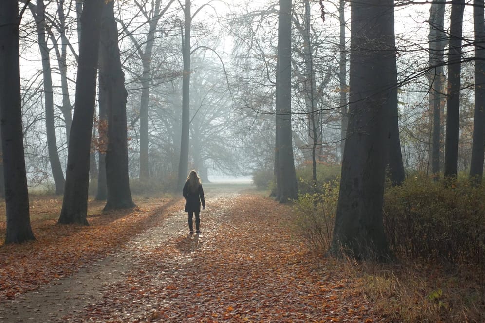 Eine Frau spaziert durch den Schlosspark Neuhardenberg: In Brandenburg gilt für besonders von Corona betroffene Landkreise eine Bewegungsbeschränkung.