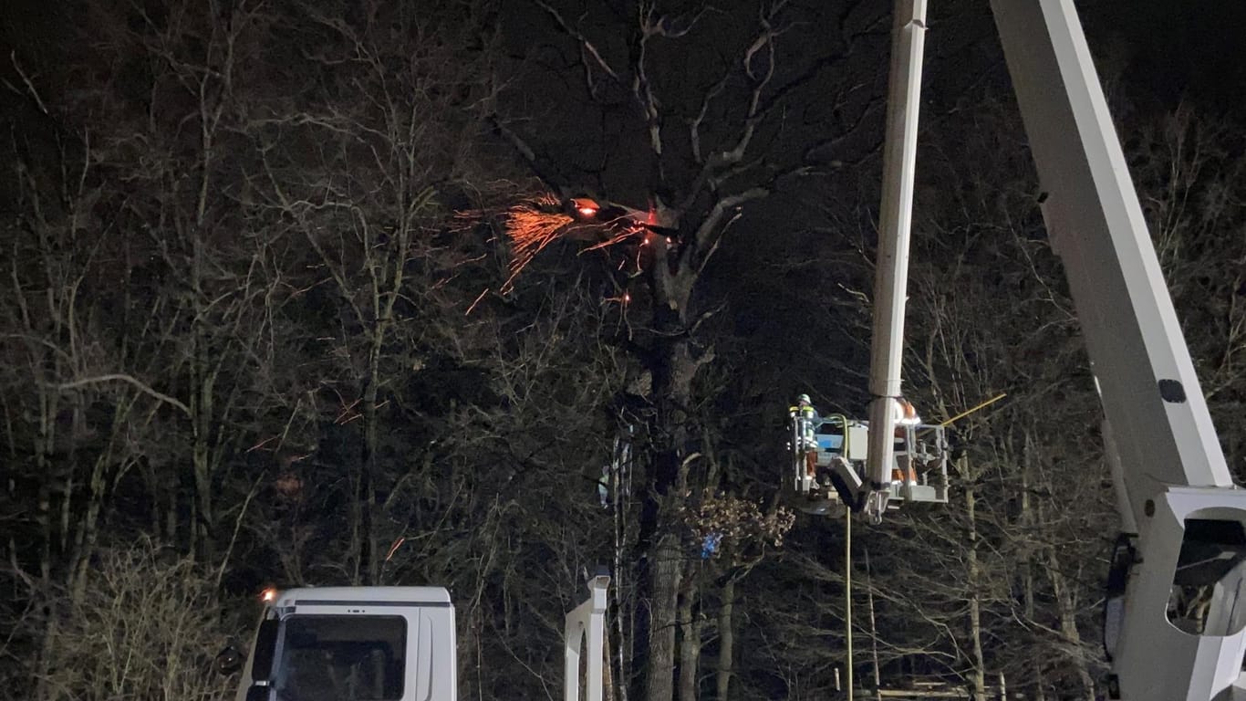 Ein Baumhaus im Hambacher Forst brennt: Ein Mann wurde bei dem Brand verletzt.