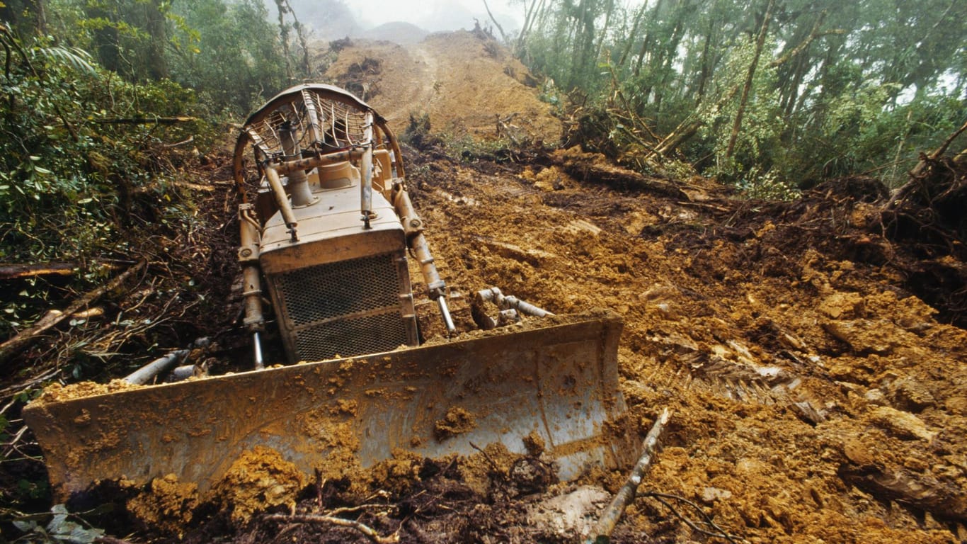 Sabah, Borneo: Ein Bulldozer gräbt eine Straße durch den Regenwald.