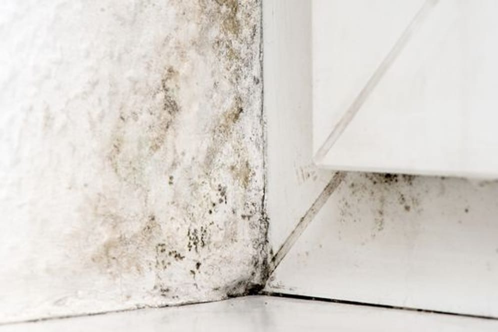 Rund um das Fenster - gerade wenn es in einer Nische eingebaut wurde - droht im Winter Schimmel.