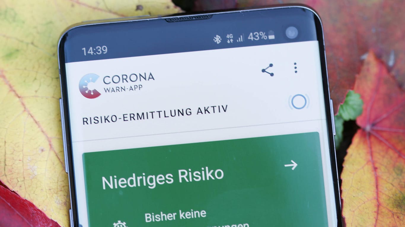 Die Corona-App auf einem Smartphone (Symbolbild): Aktuell kann es zu einer Störung kommen.