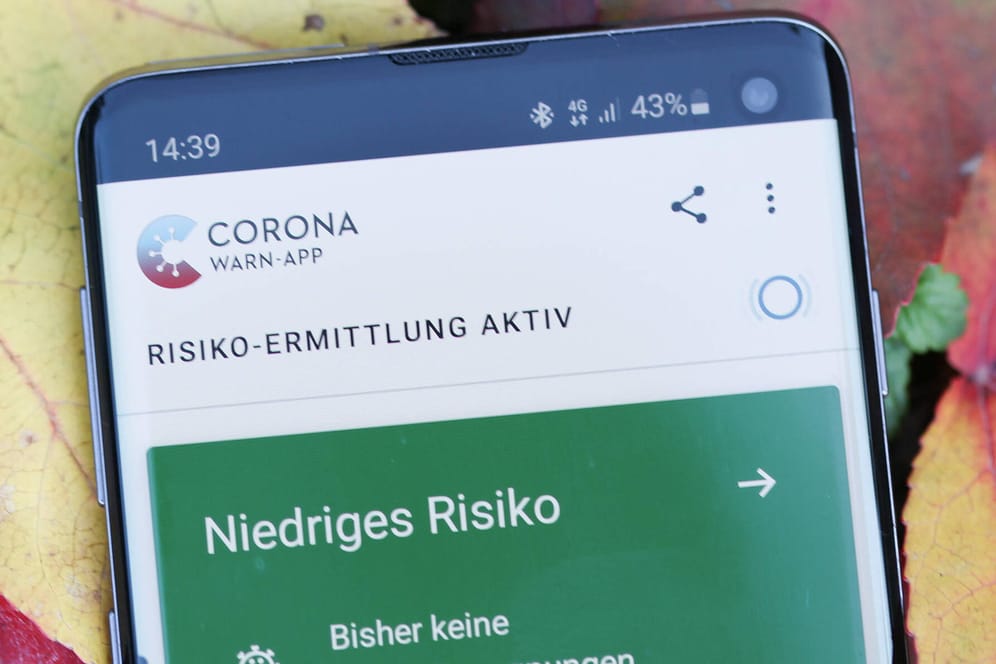 Die Corona-App auf einem Smartphone (Symbolbild): Aktuell kann es zu einer Störung kommen.