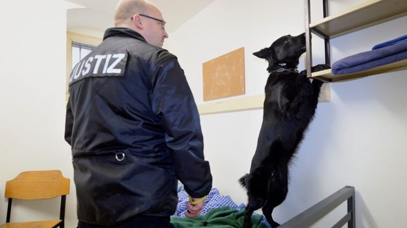 Spürhund sucht Handy in der JVA