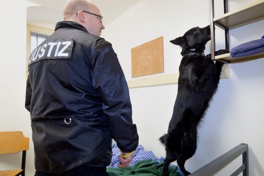 Spürhund sucht Handy in der JVA