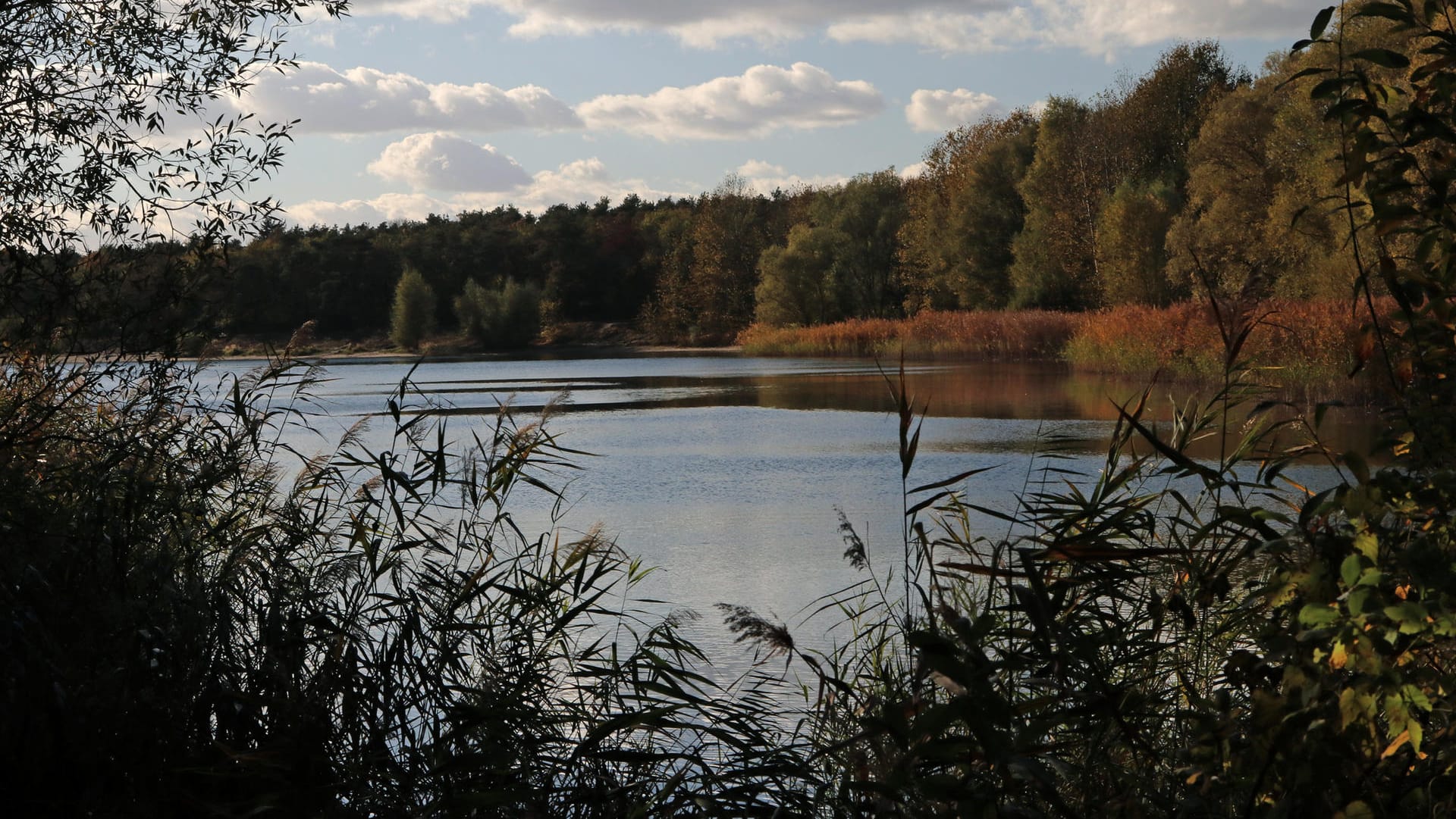 Der Habermannsee im Berliner Ortsteil Kaulsdorf: Taucher der Feuerwehr haben hier nach einem Autowrack gesucht.