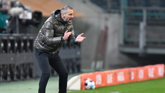 Trainer Marco Rose wurde zuletzt mit dem BVB in Verbindung gebracht.