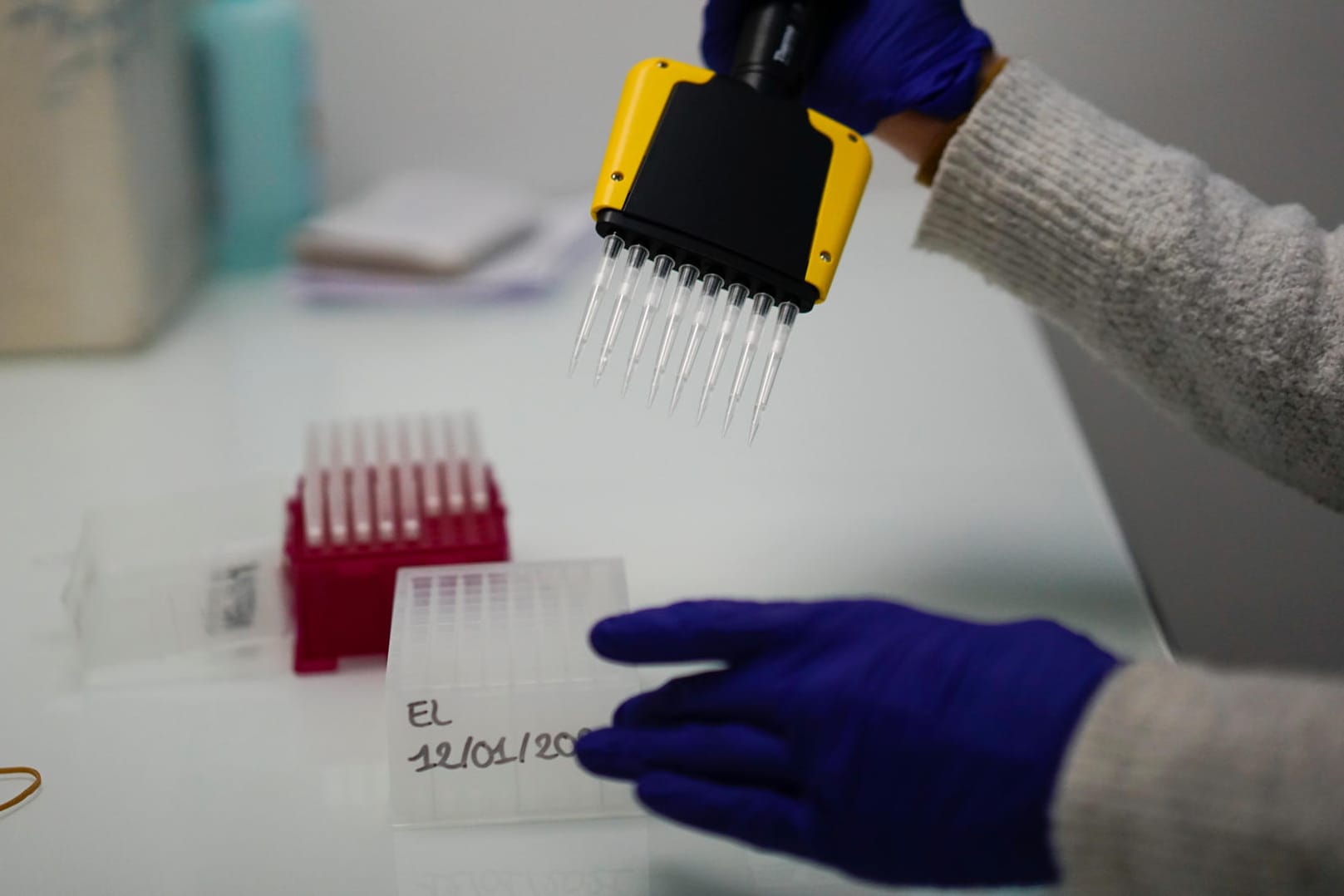 Proben werden auf die neuen Corona-Mutationen aus Großbritannien und Südafrika untersucht: Angesichts immer noch hoher Fallzahlen bereiten diese Experten große Sorgen.