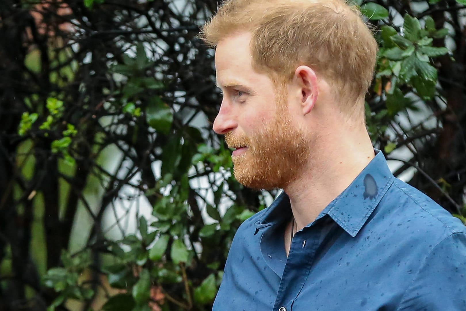 Prinz Harry: Offenbar geht es dem britischen Royal in seiner neuen Wahlheimat gut.