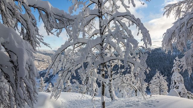 Winterwetter im Hochschwarzwald Winterwetter im Hochschwarzwald