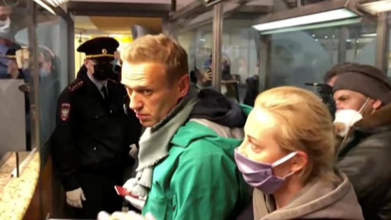 Alexej Nawalny bei der Festnahme in Moskau: Der Kremlkritiker wurde bei der Passkontrolle verhaftet.