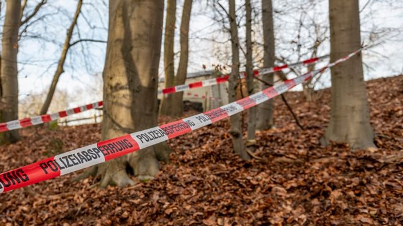 In diesem Wald bei Seevetal in Niedersachsen sind in einem Erddepot möglicherweise Hinterlassenschaften der linksterroristischen RAF gefunden worden.