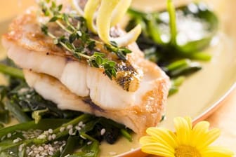 Das weiße, wohlschmeckende, fett - und grätenarme Fleisch des Zanders eignet sich für edle Fisch-Menüs, wie Zander mit Spinat und Basilikum.