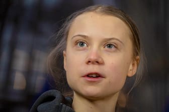 Umweltaktivistin Greta Thunberg: Hat sich auf Twitter immer wieder mit Trump angelegt.