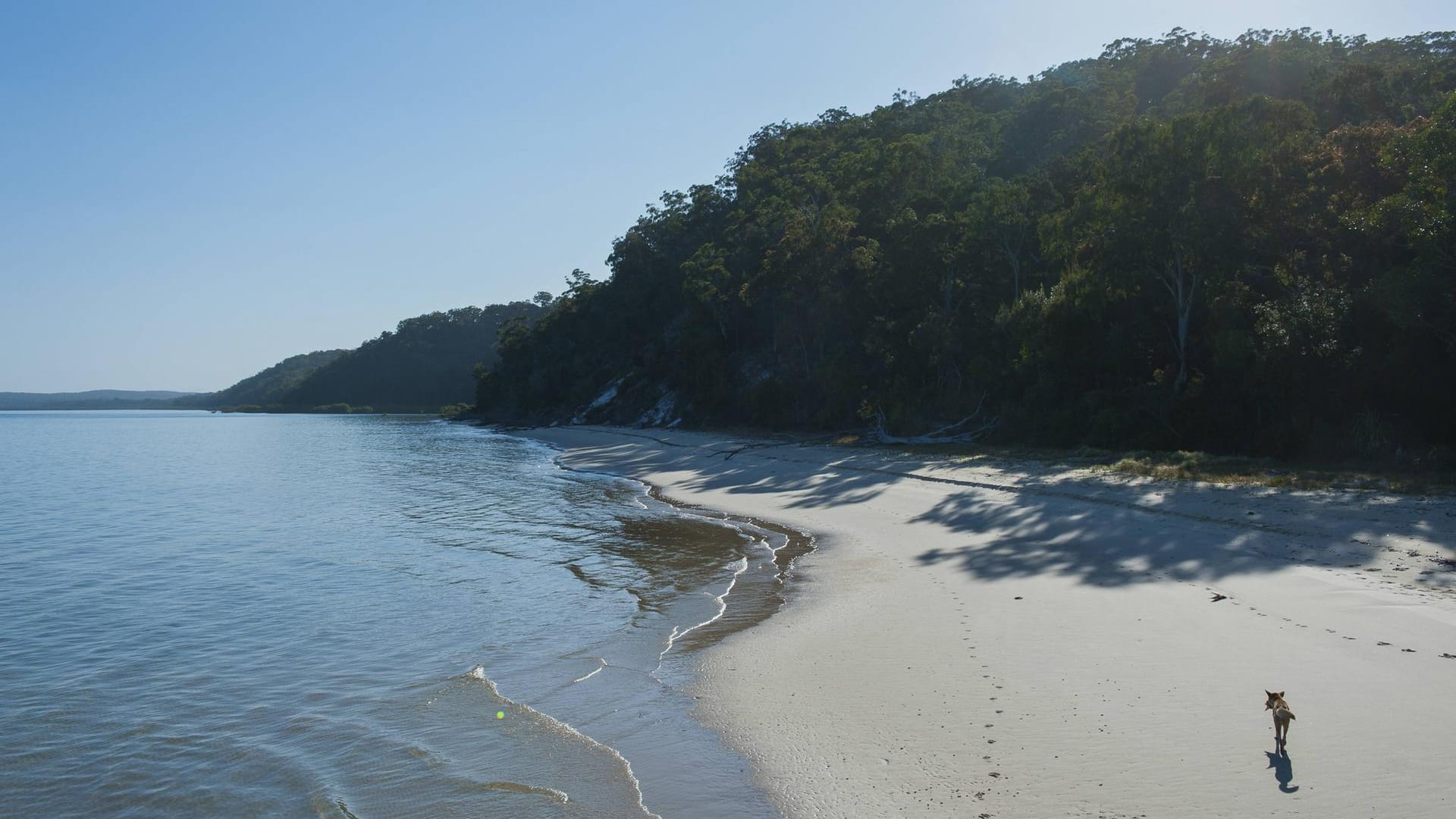 Fraser Island, Queensland, Australien: Dort haben zwei Männer ein Lagerfeuer gemacht.