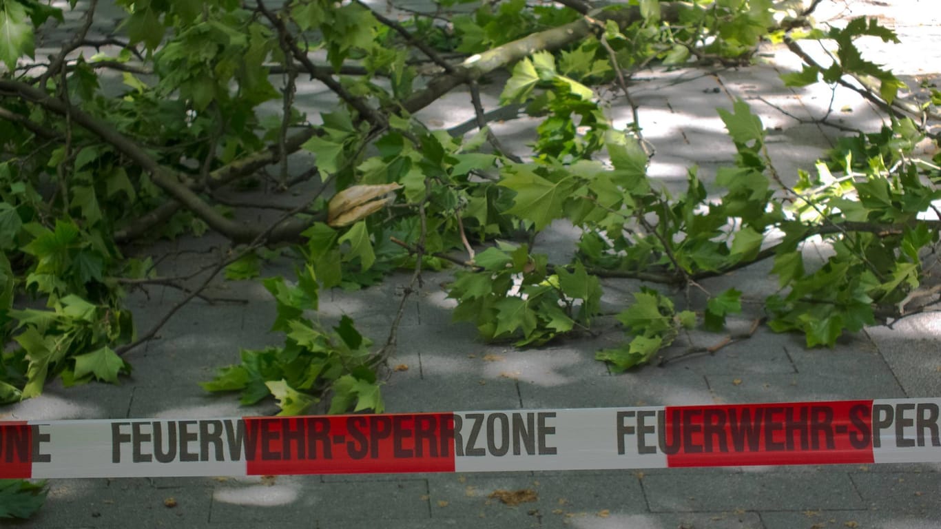 Äste liegen auf der Straße (Symbolbild): In Dortmund haben Sturmböen mehrere Bäume zum Fallen gebracht.